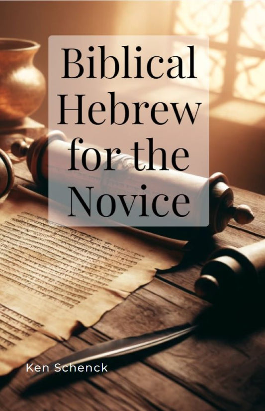 Biblical Hebrew for the Novice (ebook)