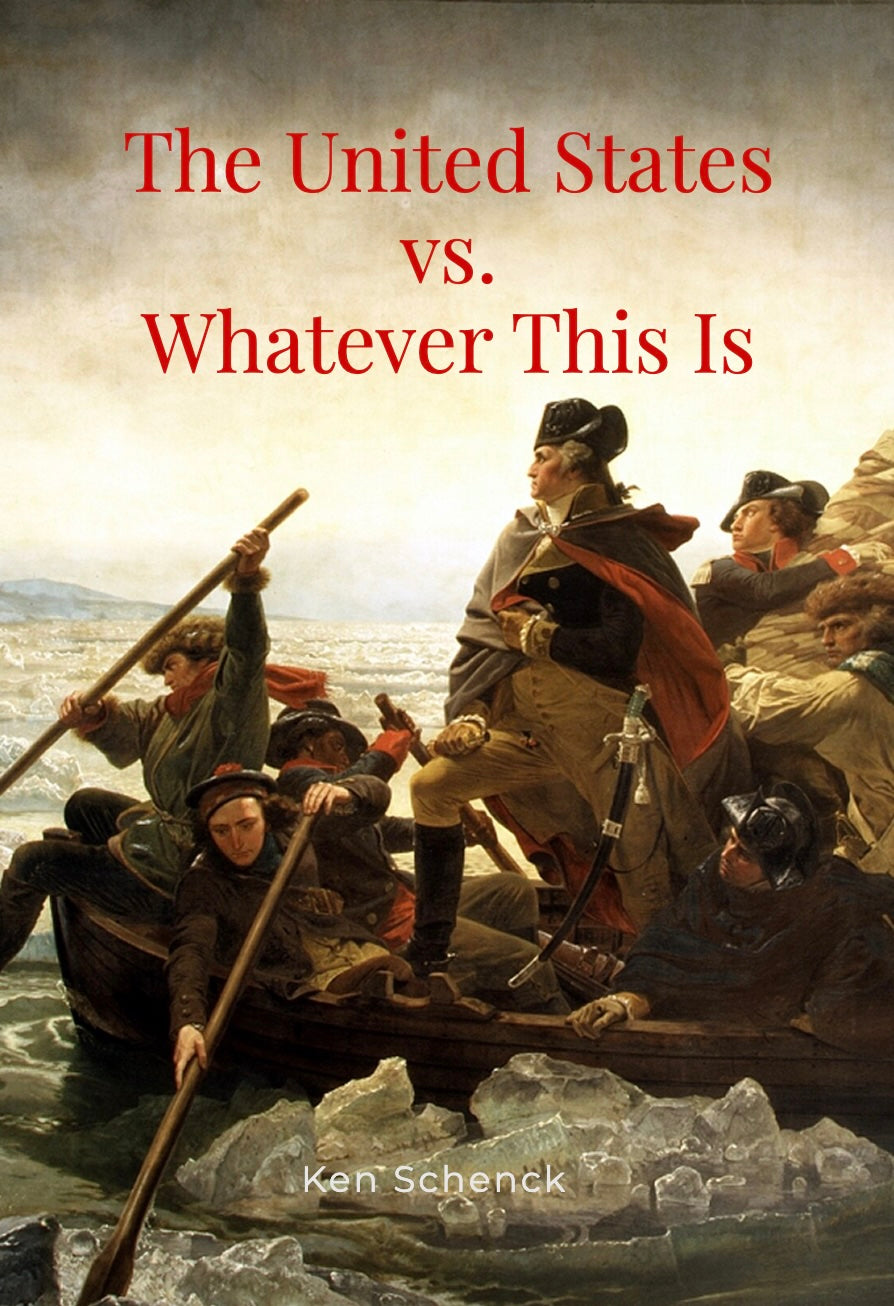 The United States vs. Whatever This Is (paperback)